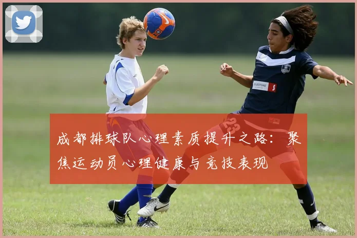 成都排球队心理素质提升之路：聚焦运动员心理健康与竞技表现